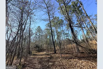 4 Sun Hill Grange Road, Davisboro, GA 31018 - Photo 3