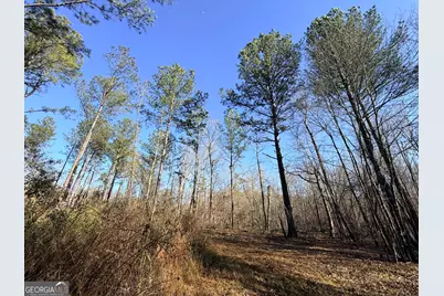 4 Sun Hill Grange Road, Davisboro, GA 31018 - Photo 19