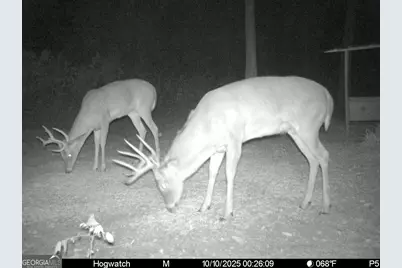 0 Charles Street, Vienna, GA 31092 - Photo 9