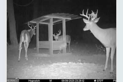 0 Charles Street, Vienna, GA 31092 - Photo 13