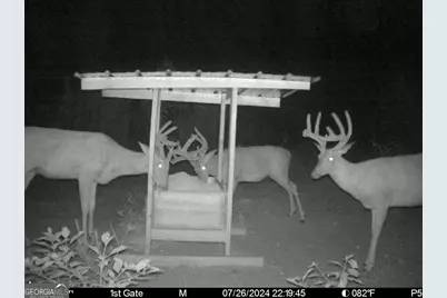 0 Charles Street, Vienna, GA 31092 - Photo 17