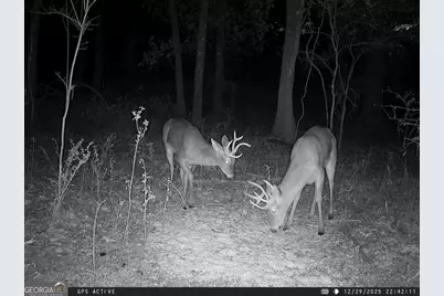 0 Charles Street, Vienna, GA 31092 - Photo 5