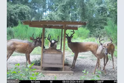 0 Charles Street, Vienna, GA 31092 - Photo 15