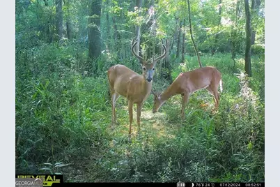 0 Charles Street, Vienna, GA 31092 - Photo 19