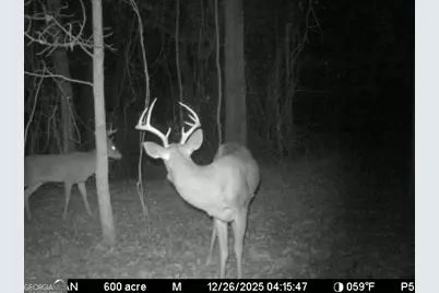 0 Charles Street, Vienna, GA 31092 - Photo 7