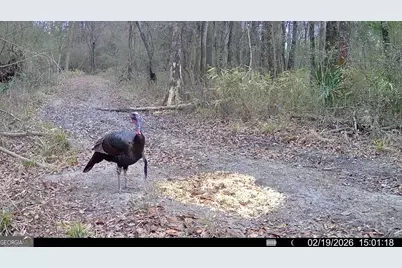 0 Charles Street, Vienna, GA 31092 - Photo 3