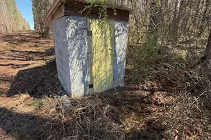 4005 E Hwy 85, Manchester, GA 31816 - Photo 31