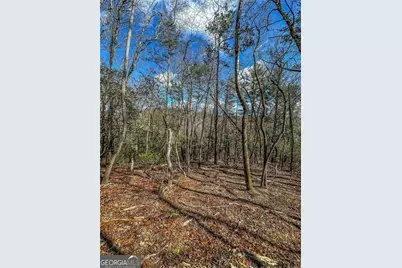 0 Ts Jarrard Road, Dahlonega, GA 30533 - Photo 21