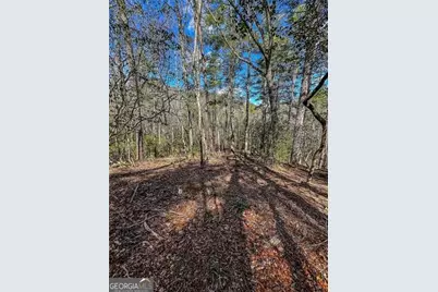 0 Ts Jarrard Road, Dahlonega, GA 30533 - Photo 39