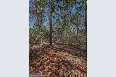 0 Ts Jarrard Road, Dahlonega, GA 30533 - Photo 29