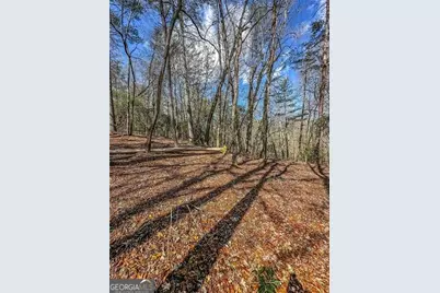 0 Ts Jarrard Road, Dahlonega, GA 30533 - Photo 9