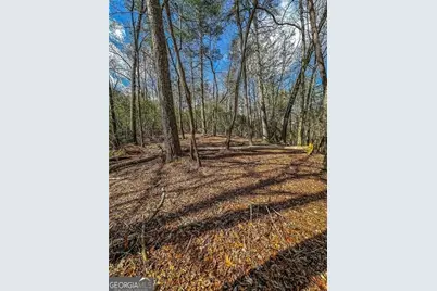 0 Ts Jarrard Road, Dahlonega, GA 30533 - Photo 15