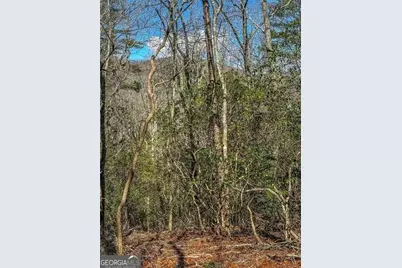 0 Ts Jarrard Road, Dahlonega, GA 30533 - Photo 1