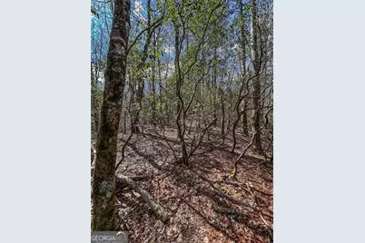 0 Ts Jarrard Road, Dahlonega, GA 30533 - Photo 35