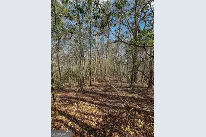 0 Ts Jarrard Road, Dahlonega, GA 30533 - Photo 31