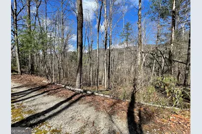 0 Bridge Creek Rd, Tiger, GA 30576 - Photo 5