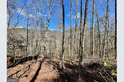 0 Bridge Creek Rd, Tiger, GA 30576 - Photo 1