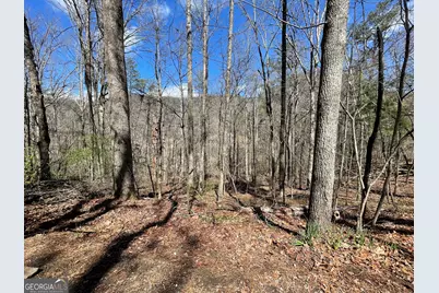 0 Bridge Creek Rd, Tiger, GA 30576 - Photo 3