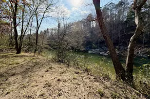 125 River Run Trail, Cornelia, GA 30531 - Photo 35