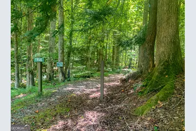 0 Ridge View Court, Ellijay, GA 30536 - Photo 23