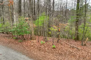 0 Rdg Vw Ct, Ellijay, GA 30536 - Photo 1