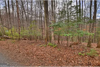 0 Ridge View Court, Ellijay, GA 30536 - Photo 5