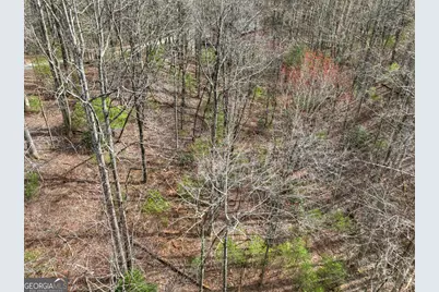 0 Ridge View Court, Ellijay, GA 30536 - Photo 9