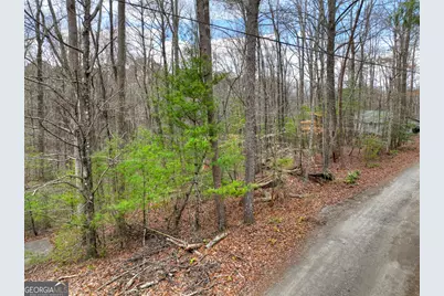 0 Ridge View Court, Ellijay, GA 30536 - Photo 3