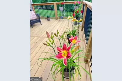 335 Northshore Drive, Blairsville, GA 30512 - Photo 69