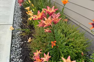 335 Northshore Dr, Blairsville, GA 30512 - Photo 75