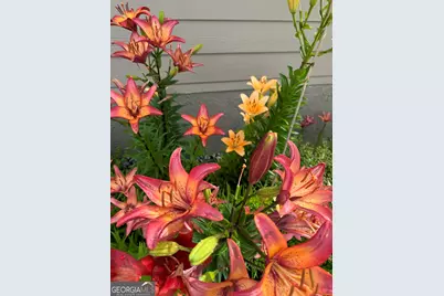 335 Northshore Drive, Blairsville, GA 30512 - Photo 79