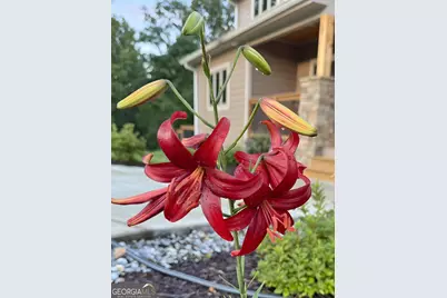 335 Northshore Drive, Blairsville, GA 30512 - Photo 63