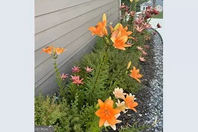 335 Northshore Drive, Blairsville, GA 30512 - Photo 77