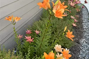 335 Northshore Dr, Blairsville, GA 30512 - Photo 77