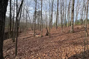 153 Highland Cir, Flovilla, GA 30216 - Photo 39