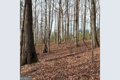 153 Highland Circle, Flovilla, GA 30216 - Photo 37