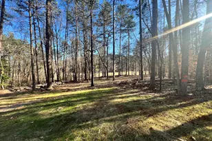 78 Greenock Cove, Toccoa, GA 30577 - Photo 23