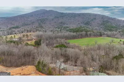 354 Prairie Flower Drive, Cleveland, GA 30528 - Photo 41