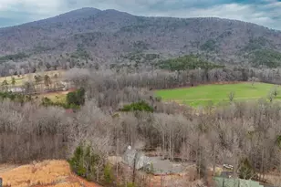 354 Prairie Flower Dr, Cleveland, GA 30528 - Photo 45