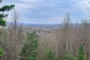 406 Yonah Mountain Rd, Cleveland, GA 30528 - Photo 65