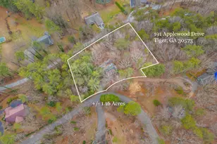 191 Applewood Dr, Tiger, GA 30576 - Photo 7