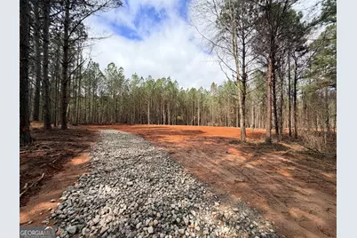 91 Pioneer Trail #LOT 27, Hogansville, GA 30230 - Photo 3