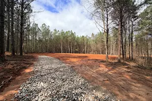 91 Pioneer Trl, Hogansville, GA 30230 - Photo 3