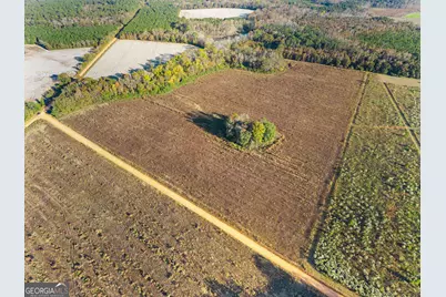 0 Waters Lane #LOT 3, Claxton, GA 30417 - Photo 13