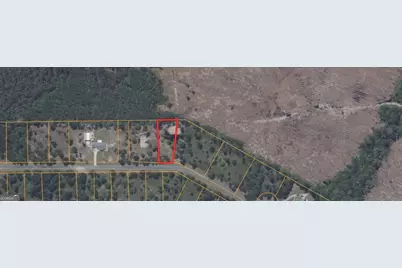 0 Big Horse Drive #84, Waynesville, GA 31566 - Photo 3