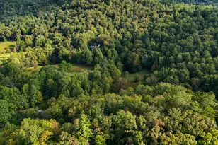 1068 Coleman River Rd, Clayton, GA 30525 - Photo 81