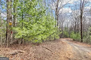 1068 Coleman River Rd, Clayton, GA 30525 - Photo 71