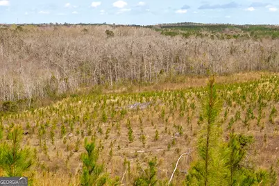 3 Laurel Branch Road, Gordon, GA 31031 - Photo 37