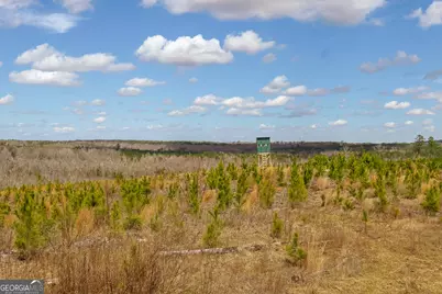 3 Laurel Branch Road, Gordon, GA 31031 - Photo 39