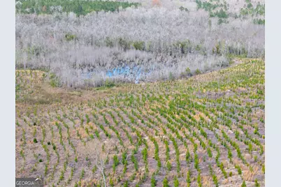 3 Laurel Branch Road, Gordon, GA 31031 - Photo 25